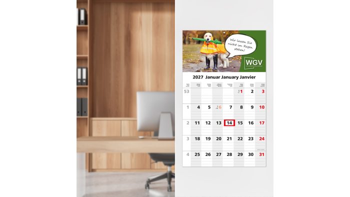1-Monatskalender Einblatt Solo 1 EXPRESS Ansicht 3