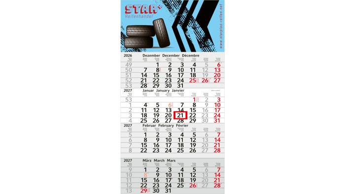 4-Monatskalender Einblatt Budget 4 EXPRESS Schrift modern Ansicht 2